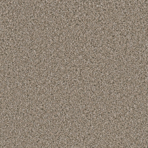 DAZZLING Tumbleweed 883