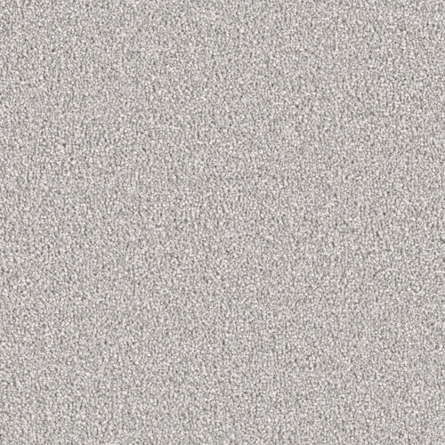 EAST HAMPTON Dove 800