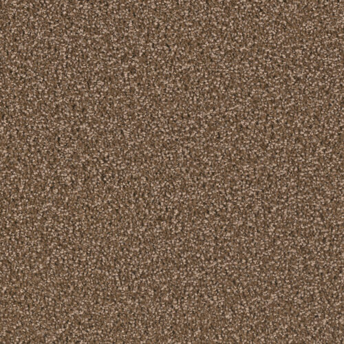 EXCEPTIONAL II Black Walnut 540