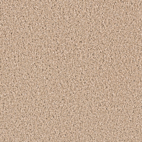 EXCEPTIONAL II Cashmere 580