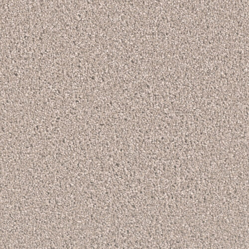 EXCEPTIONAL II Clam Shell 182