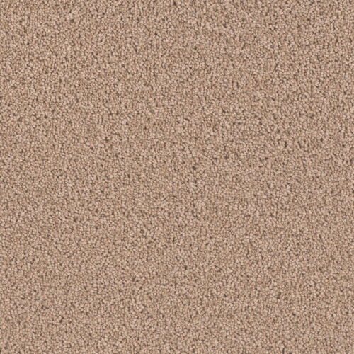 EXCEPTIONAL II Doeskin 530