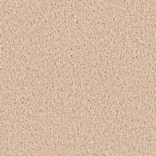 EXCEPTIONAL II Eggshell 730