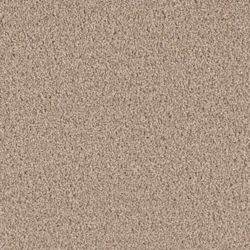 EXCEPTIONAL II Hazlenut Cream 775