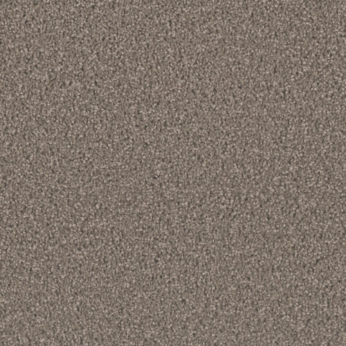 EXCEPTIONAL II Riverbed 955