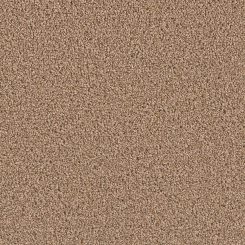EXCEPTIONAL II Sable 510