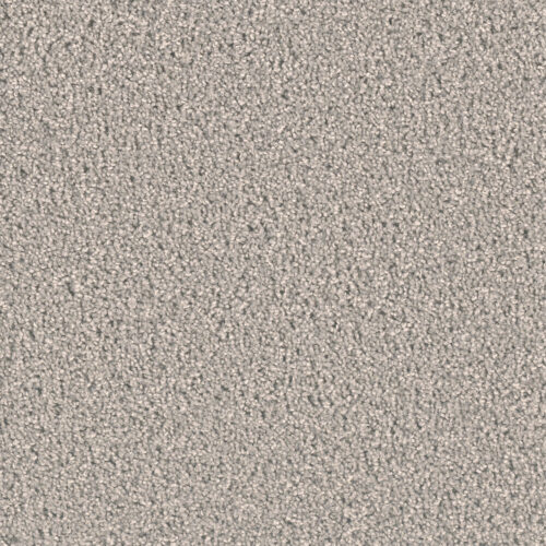 EXCEPTIONAL II Silver Birch 800