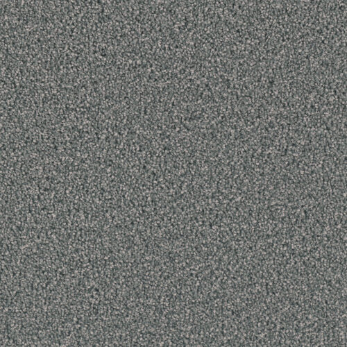 EXCEPTIONAL II Steel Grey 890