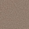 EXCEPTIONAL II Tumbleweed 829
