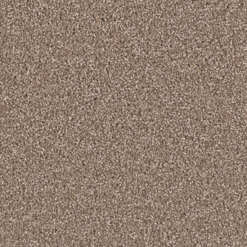 EXCEPTIONAL II Tumbleweed 829