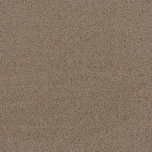 FIRST STEP Balsam 565