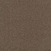 FIRST STEP Chocolate 812