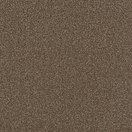FIRST STEP Chocolate 812
