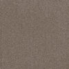 FIRST STEP Silvery 829