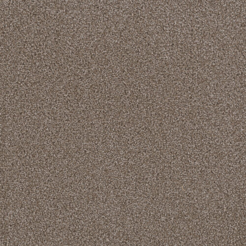 FIRST STEP Silvery 829