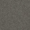GOLD STANDARD III Zinc 2376