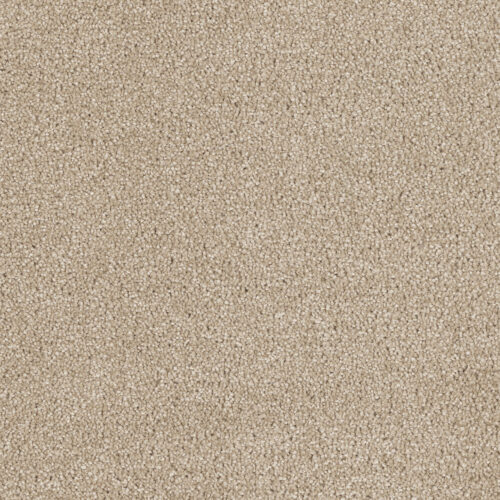 Hollywood Cashmere 580