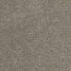Hollywood Cinnamon Tea 528