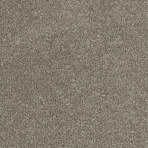 Hollywood Cinnamon Tea 528