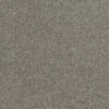 Hollywood Dark Platinum 889