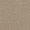 Hollywood Warm Teak 784