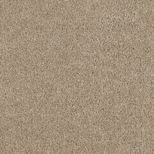 Hollywood Warm Teak 784