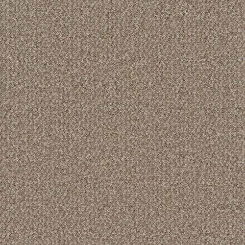 INTERSTELLAR Pebble Hill 2081