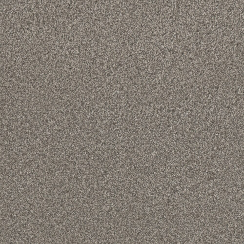 LUCKY PENNY III Ventura 5331
