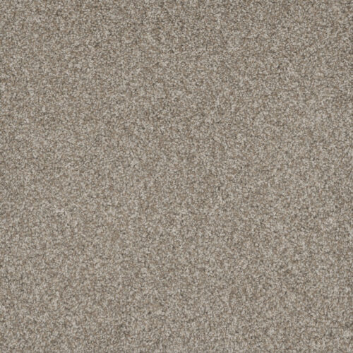 MILL CREEK II Baby's Breath 4035