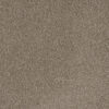 MILL CREEK II Polished Pebble 2023
