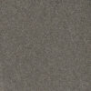 MILL CREEK II Rain Shadow 2027