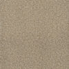 MONTAUK Quail 725