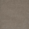 MONTE CARLO III Umber 6004
