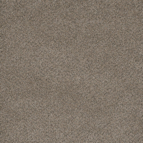 MONTE CARLO III Umber 6004