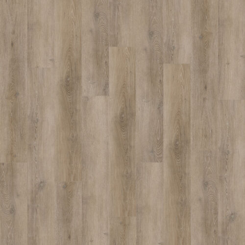 NEW STANDARD PLUS DRUIDSTONE 4022
