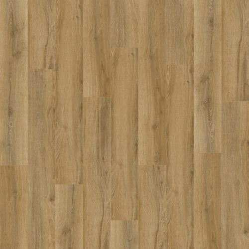 NEW STANDARD PLUS KYOTO 4032