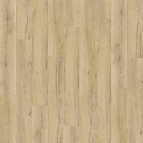 NEW STANDARD PLUS RIO 4031