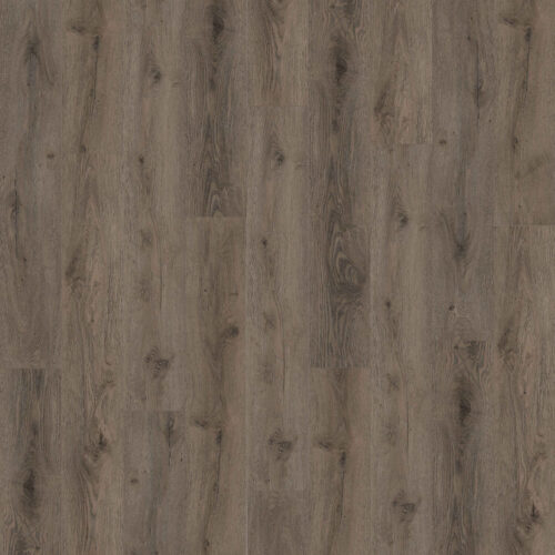 NEW STANDARD PLUS SECRET LAGOON 4030