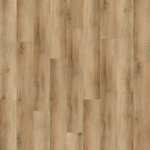 NEW STANDARD PLUS ST. THOMAS 4025