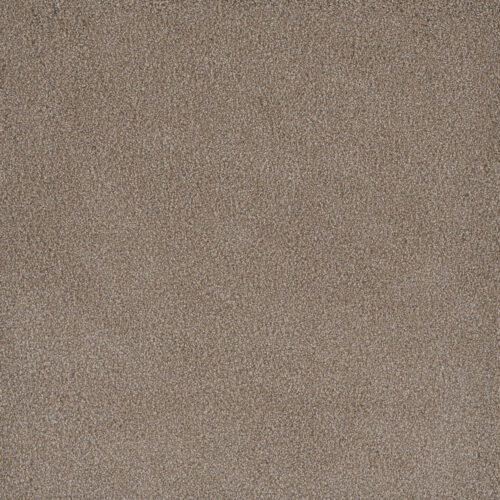 PALMETTO III Marigold 2220