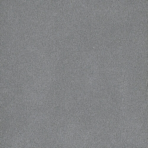 PALMETTO III Skylight 2281