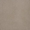 PALMETTO III Sun Washed 2235