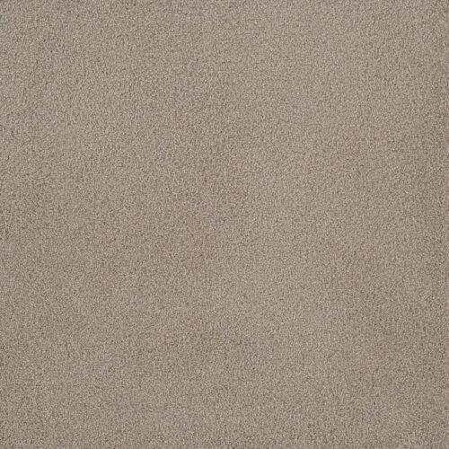 PALMETTO III Sun Washed 2235
