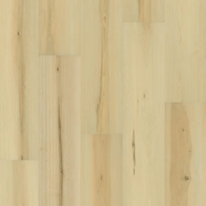 PREFERENCE Carpenter 8011