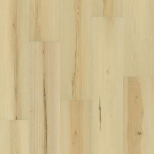 PREFERENCE Carpenter 8011