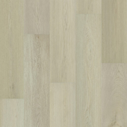 PREFERENCE Moonstone 8004