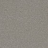 ROYALE III Winterscape 6040