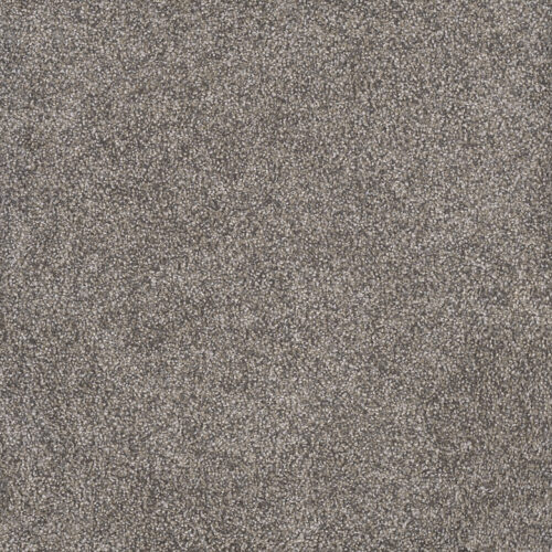 RUSTIC RETREAT II Dried Sage 4112