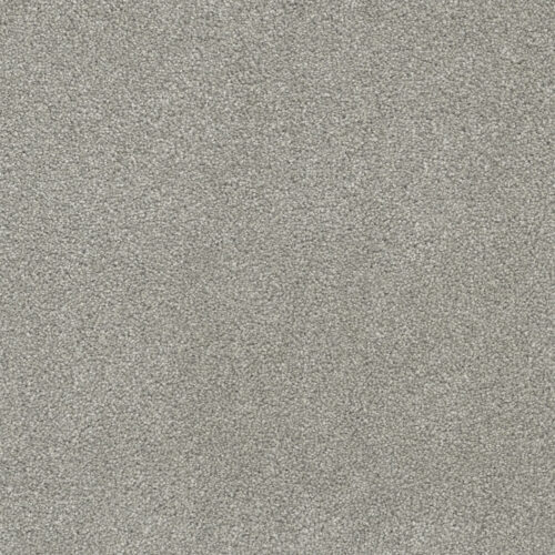 Rock Solid III Dove 800