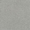 SILVER LINING IV Galactic 2830